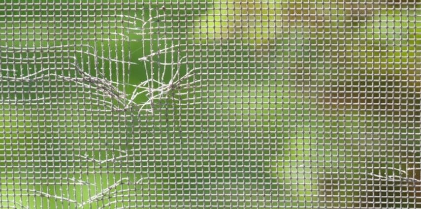 Check Your Window Screens Regularly