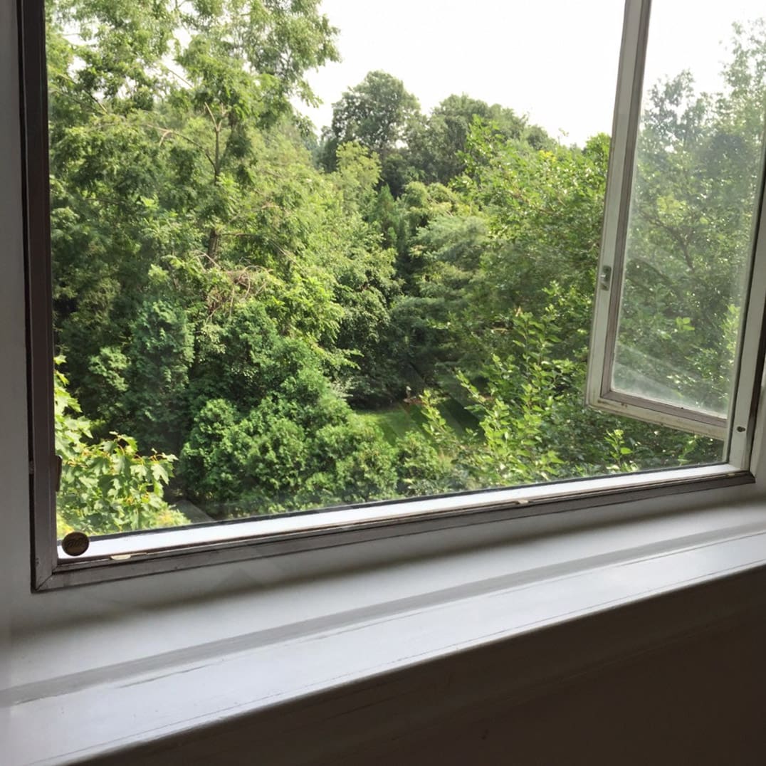 Window Sash After