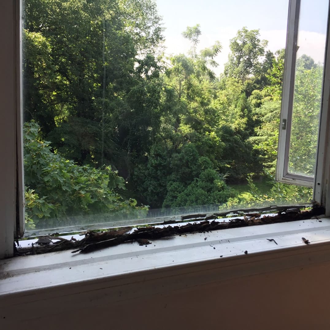 Window Sash Before